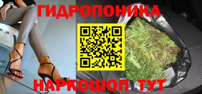 дмт Заводоуковск